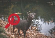 Hasta el 12 de diciembre, los líderes mundiales se reunirán en Dubái para discutir el cambio climático en la COP28: El mensaje de Dubái es claro