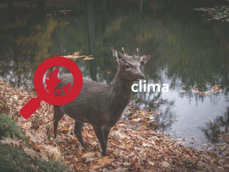 Hasta el 12 de diciembre, los líderes mundiales se reunirán en Dubái para discutir el cambio climático en la COP28: El mensaje de Dubái es claro