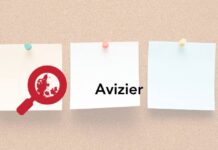 Festivalul Divercity din Esbjerg pe 8 iunie Avizier Last Week in Denmark