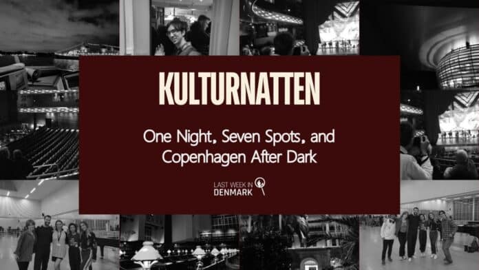 Kulturnatten – One Night, Seven Spots, and Copenhagen After Dark