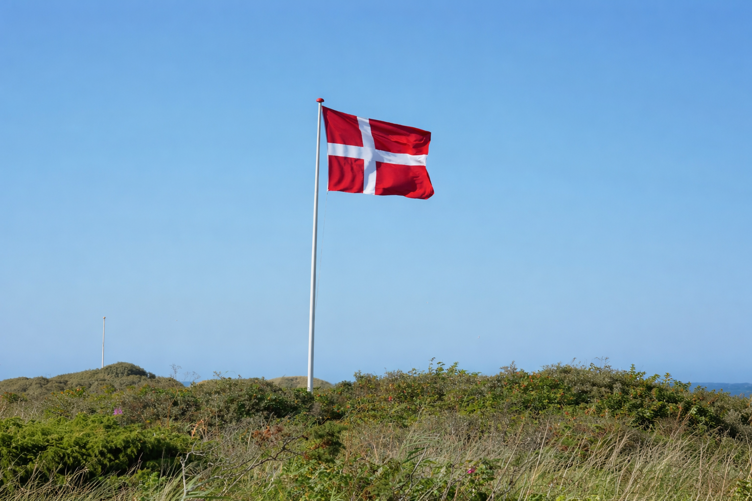 Danish flag by the coast against a blue sky