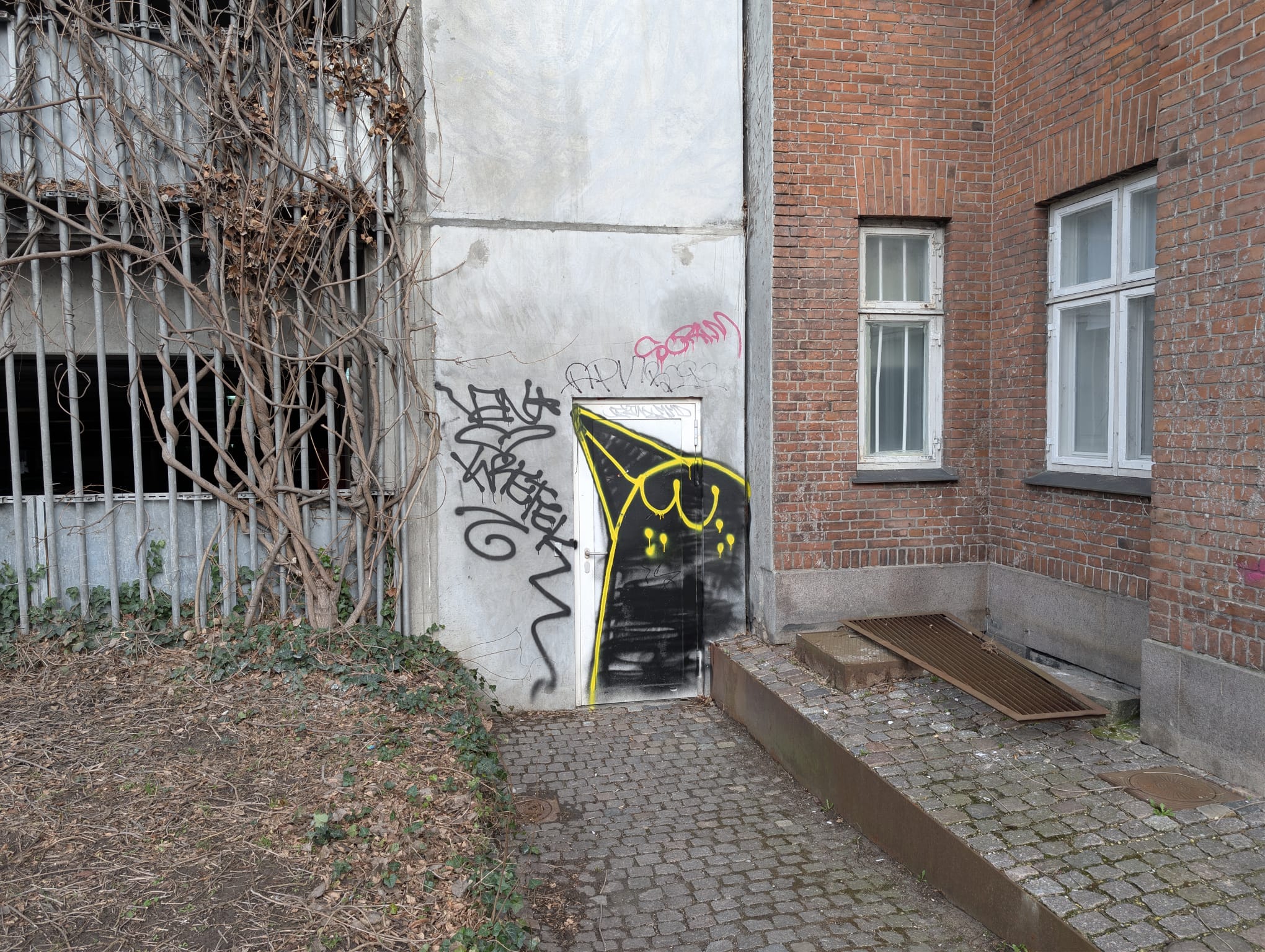 A graffiti-tagged door on a concrete wall between two buildings in Copenhagen, with a black and yellow face design painted across the door frame. Bare climbing vines cover the adjacent wall.