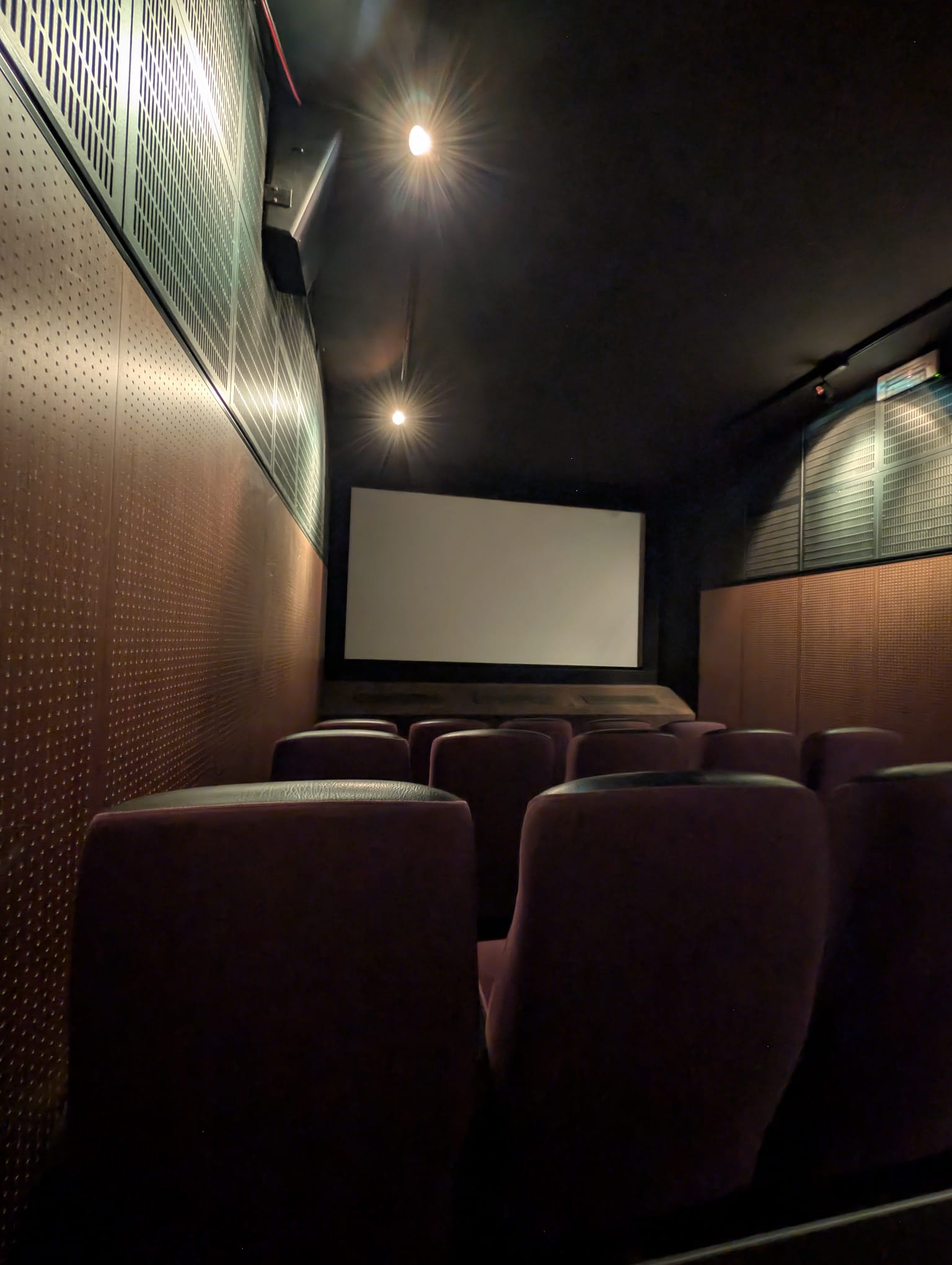 A very small, intimate cinema room with deep red seats, wooden acoustic wall panels, and a blank white screen lit by two ceiling spotlights.
