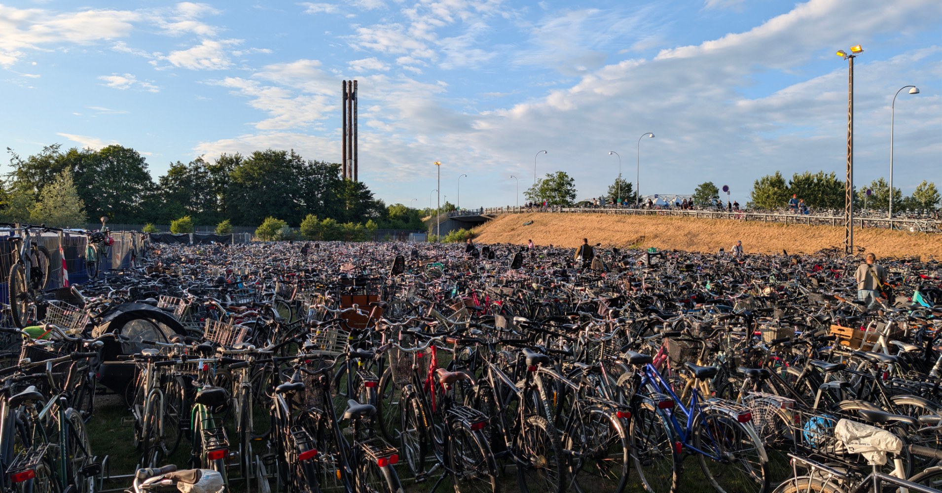 housands of bicycles packed tightly across a large open field near Roskilde Festival under a blue summer sky, with barely room to walk between them.