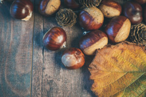 Chestnuts
