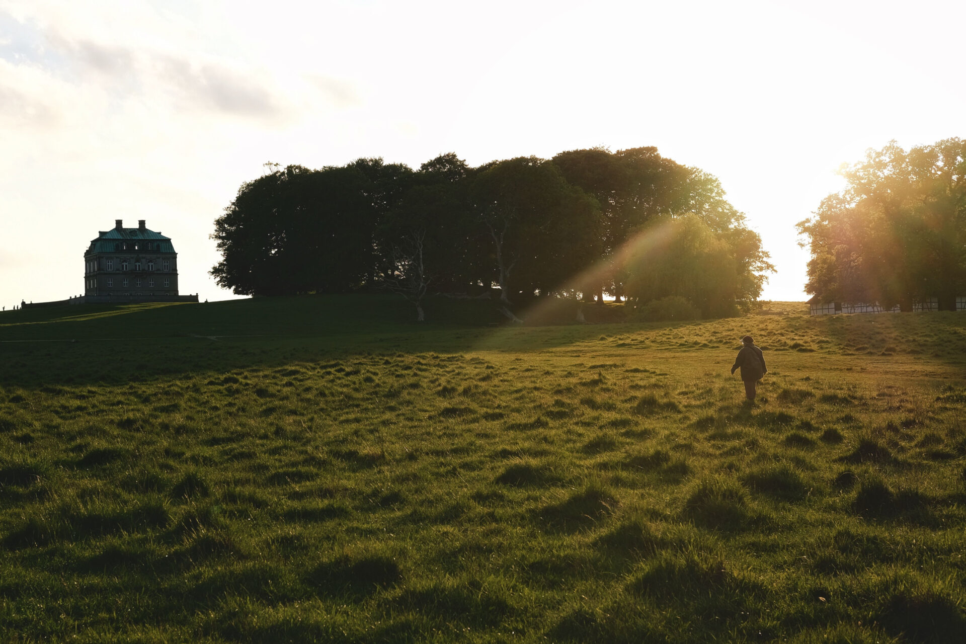 The Hermitage Sun filled field