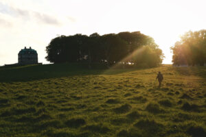 The Hermitage Sun filled field