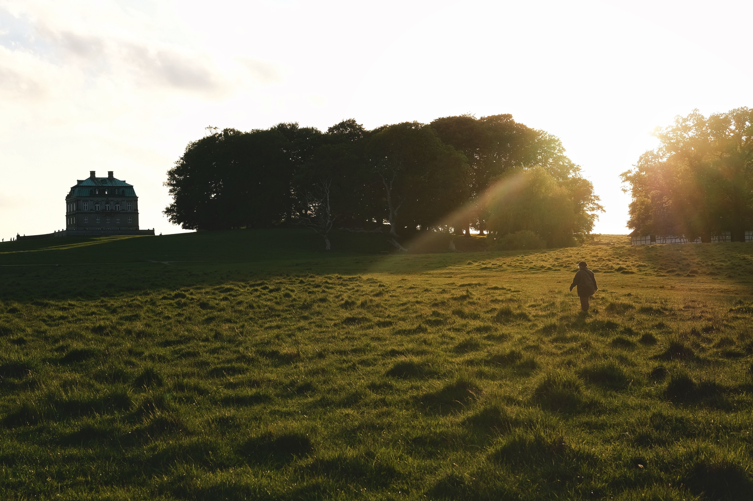 Sun filled field